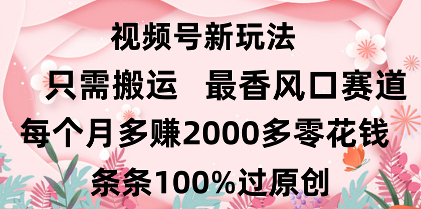 日入2000+，条条100%过原创，视频号最香风口赛道，小白轻松上手-臻优网