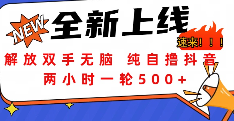 解放双手无脑 纯自撸抖音 两小时一轮500+-臻优网