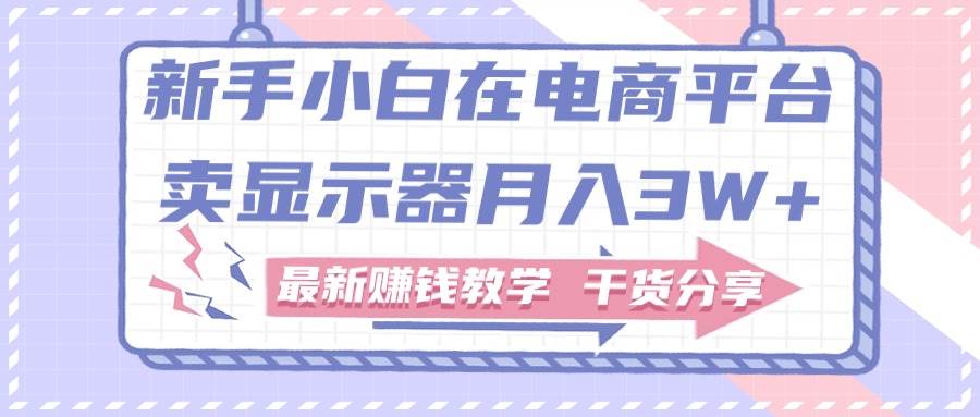 新手小白如何做到在电商平台卖显示器月入3W+，最新赚钱教学干货分享-臻优网