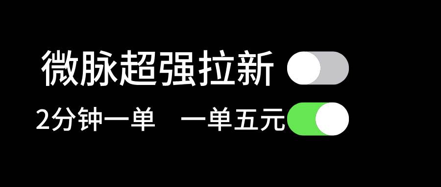 微脉超强拉新， 两分钟1单， 一单利润5块，适合小白-臻优网