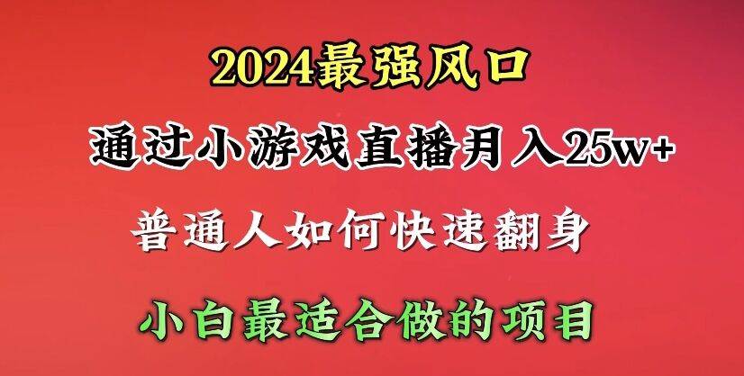 2024年最强风口，通过小游戏直播月入25w+单日收益5000+小白最适合做的项目-臻优网