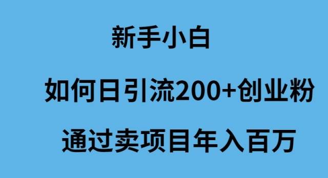 新手小白如何日引流200+创业粉通过卖项目年入百万-臻优网
