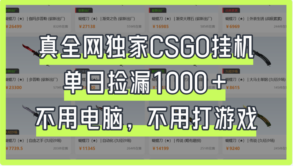 真全网独家CSGO挂机，单日捡漏1000+-臻优网