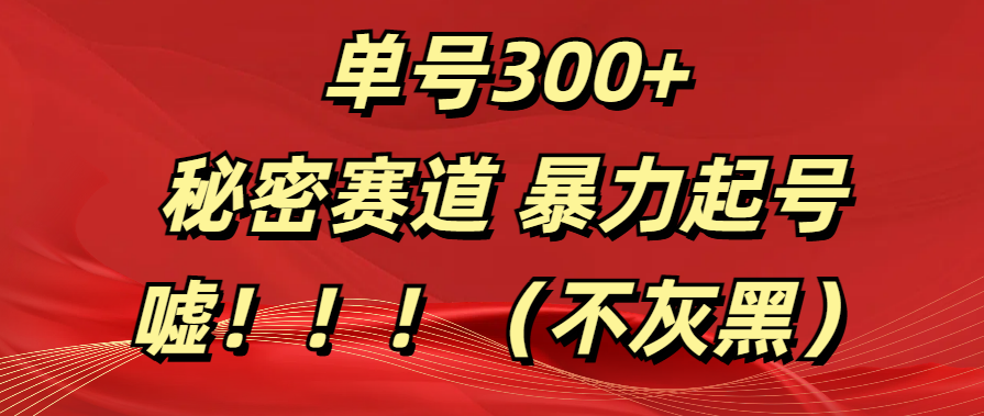 单号300+  秘密赛道 暴力起号  （不灰黑）-臻优网