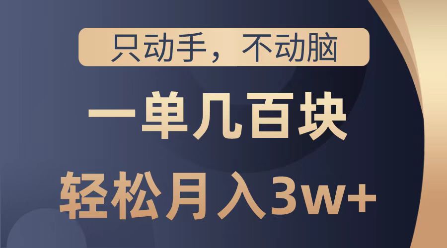 只动手不动脑，一单几百块，轻松月入2w+，看完就能直接操作，详细教程-臻优网