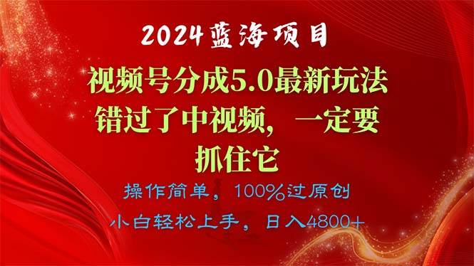 2024蓝海项目，视频号分成计划5.0最新玩法，错过了中视频，一定要抓住…-臻优网