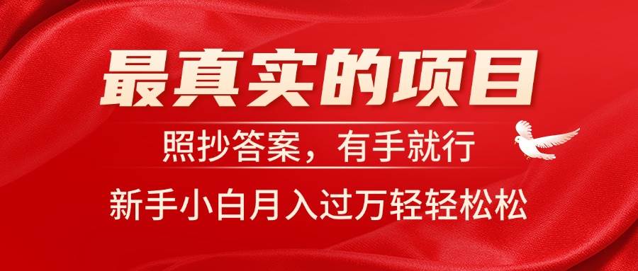 最真实的项目，照抄答案，有手就行，新手小白月入过万轻轻松松-臻优网