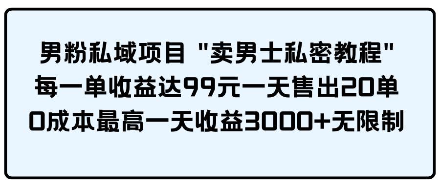 男粉私域项目 卖男士私密教程 每一单收益达99元一天售出20单-臻优网