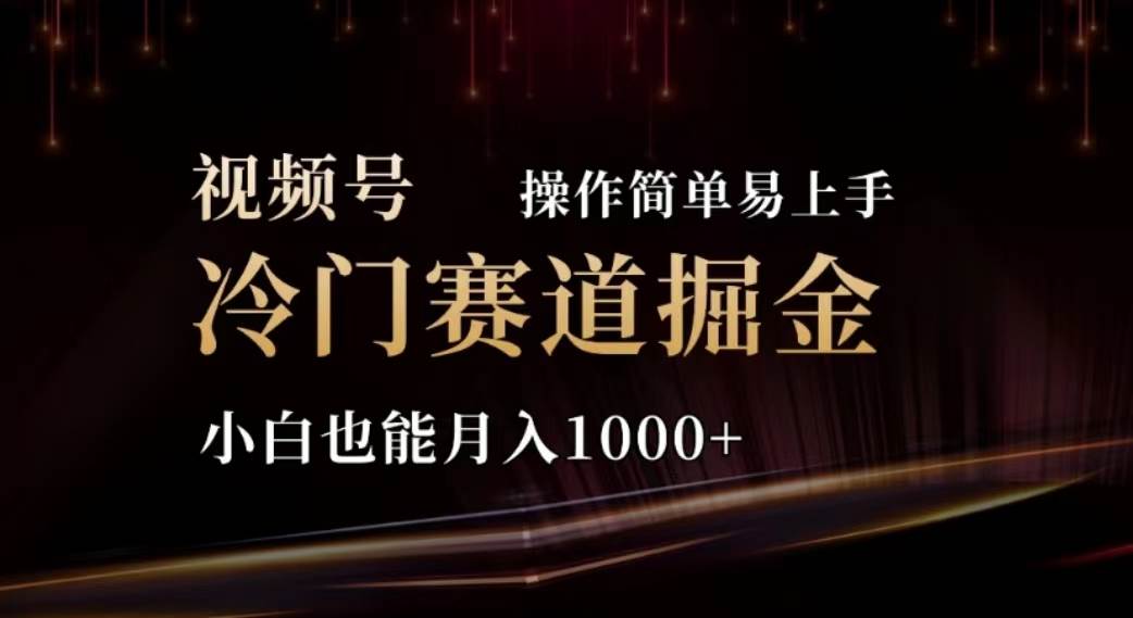 2024视频号冷门赛道掘金，操作简单轻松上手，小白也能月入1000+-臻优网