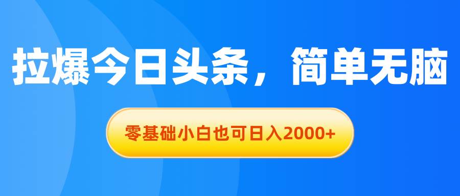 拉爆今日头条，简单无脑，零基础小白也可日入2000+-臻优网