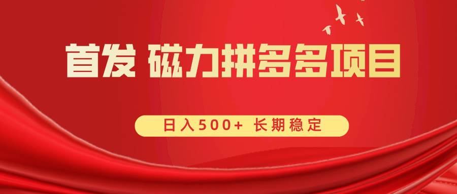 首发 磁力拼多多自撸  日入500+-臻优网