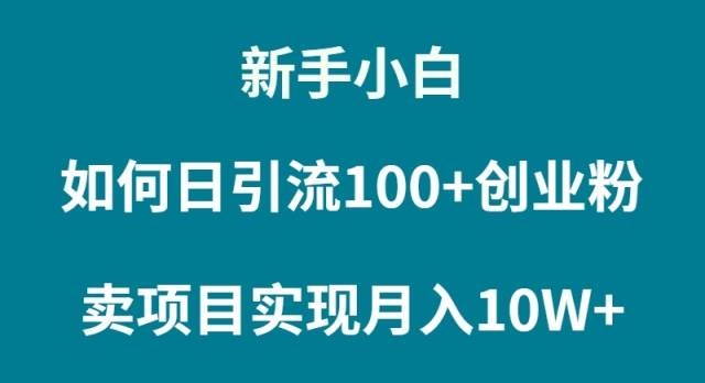 新手小白如何通过卖项目实现月入10W+-臻优网