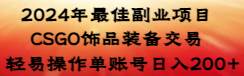 2024年最佳副业项目 CSGO饰品装备交易 轻易操作单账号日入200+-臻优网