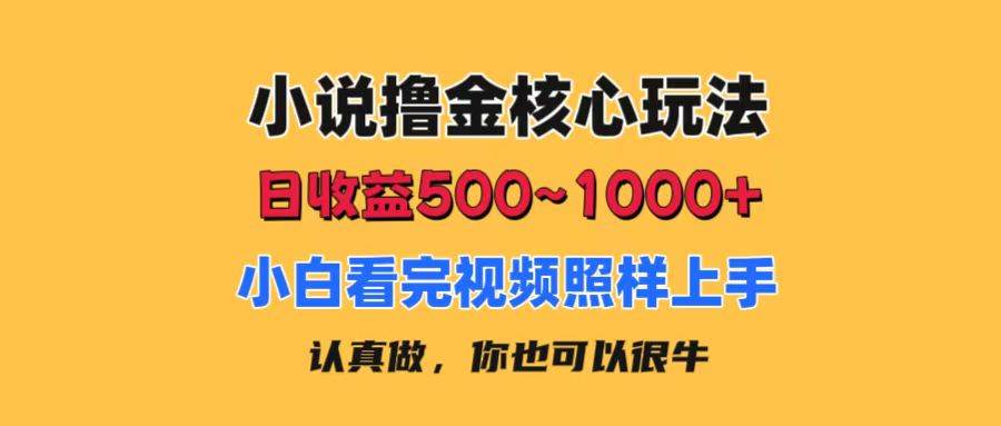 小说撸金核心玩法，日收益500-1000+，小白看完照样上手，0成本有手就行-臻优网
