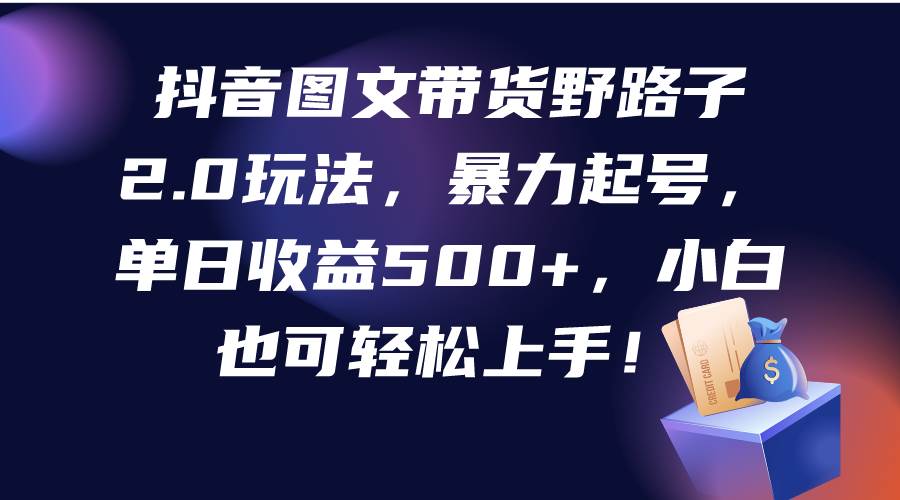 抖音图文带货野路子2.0玩法，暴力起号，单日收益500+，小白也可轻松上手！-臻优网