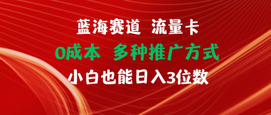 蓝海赛道 流量卡 0成本 小白也能日入三位数-臻优网