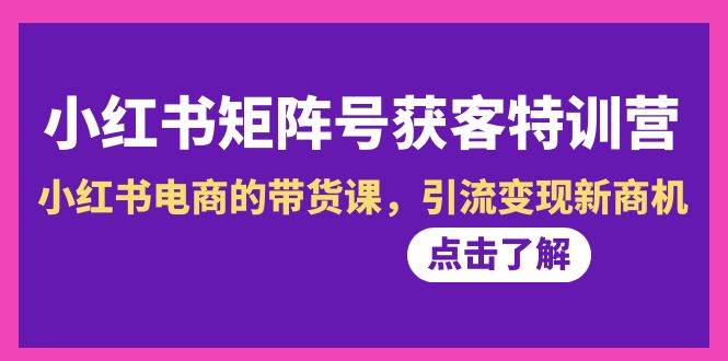 小红书-矩阵号获客特训营-第10期，小红书电商的带货课，引流变现新商机-臻优网