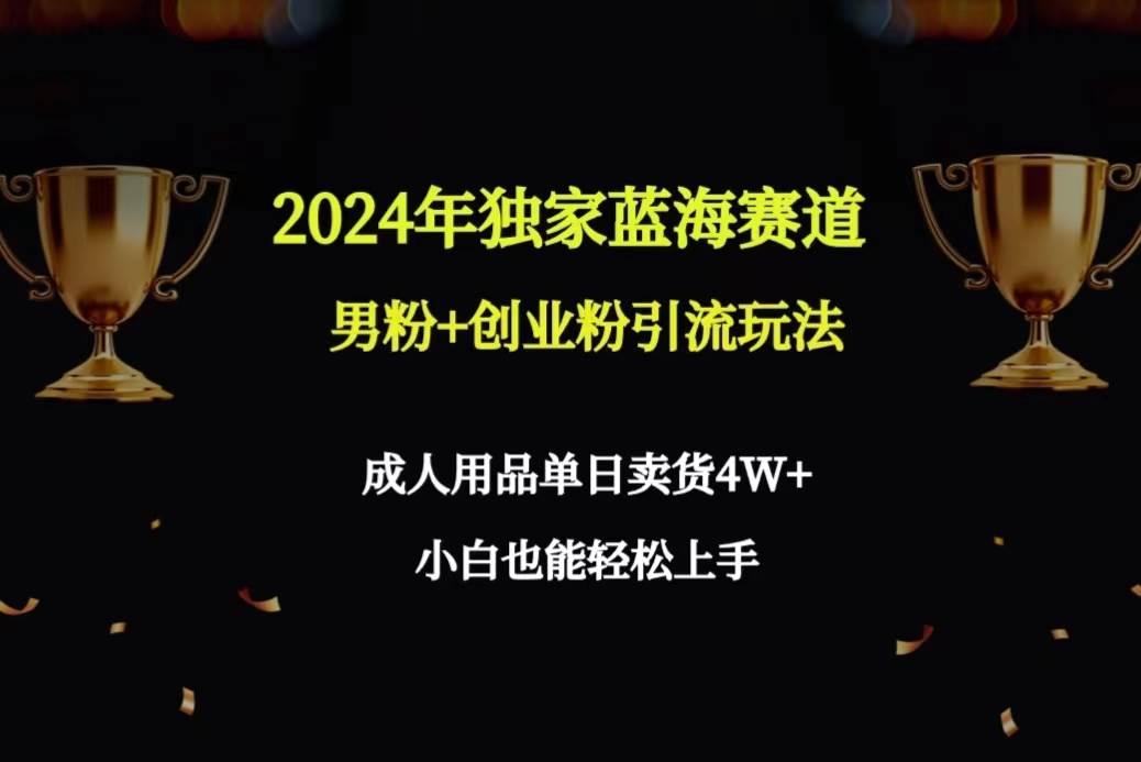 2024年独家蓝海赛道男粉+创业粉引流玩法，成人用品单日卖货4W+保姆教程-臻优网