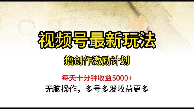 视频号最新玩法，每日一小时月入5000+-臻优网