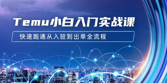 Temu小白入门实战课：跨境拼多多电商培训 快速跑通从入驻到出单全流程-12节-臻优网