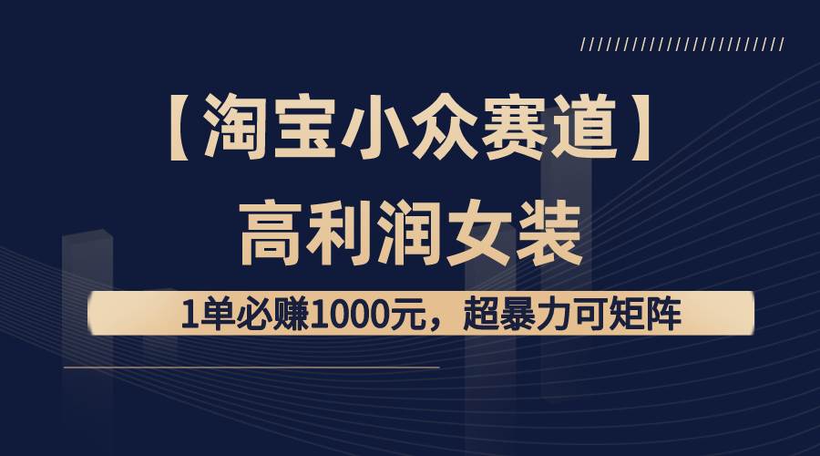 【淘宝小众赛道】高利润女装：1单必赚1000元，超暴力可矩阵-臻优网