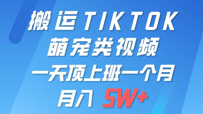 一键搬运TIKTOK萌宠类视频 一部手机即可操作 所有平台均可发布 轻松月入5W+-臻优网