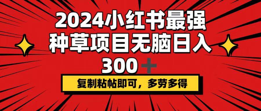 2024小红书最强种草项目，无脑日入300+，复制粘帖即可，多劳多得-臻优网
