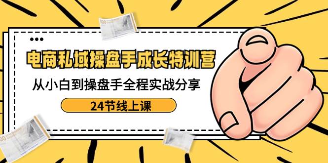 电商私域-操盘手成长特训营：从小白到操盘手全程实战分享-24节线上课-臻优网