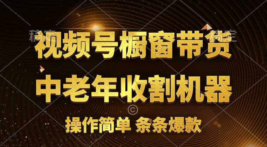 [你的孩子成功取得高位]视频号最火爆赛道，橱窗带货，流量分成计划，条…-臻优网