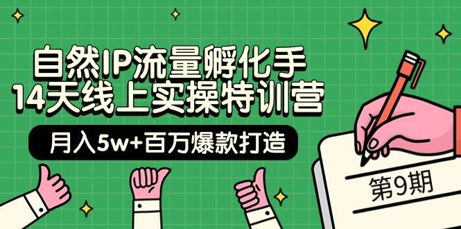 自然IP流量孵化手 14天线上实操特训营【第9期】月入5w+百万爆款打造 (74节)-臻优网