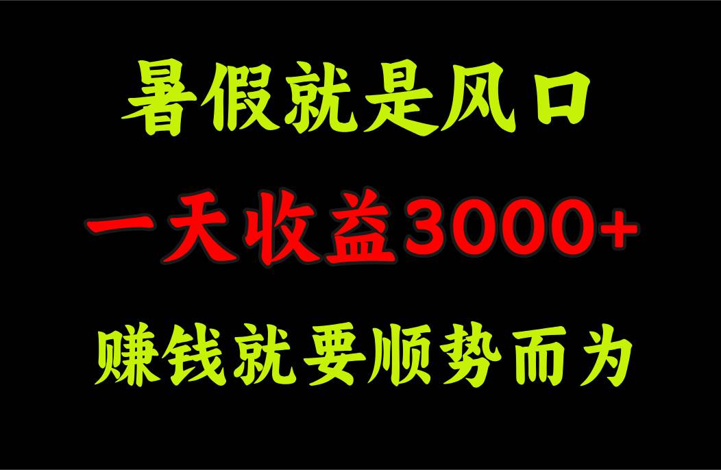 一天收益3000+ 赚钱就是顺势而为，暑假就是风口-臻优网