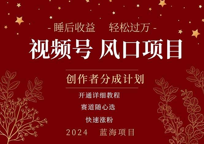 拥有睡眠收益的微信视频号大风口项目，轻松月入过万+，多赛道选择，可…-臻优网