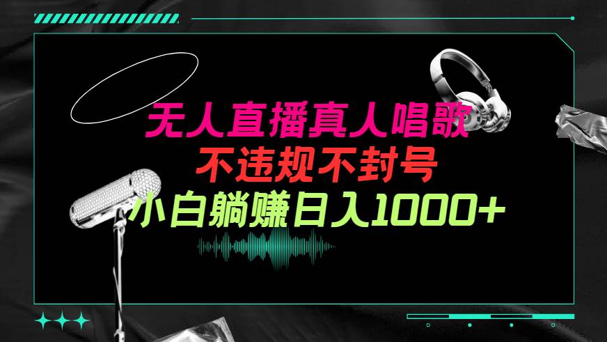 抖音24小时无人直播音乐，不违规，不封号纯撸音浪，小白实操当天日入1000+-臻优网