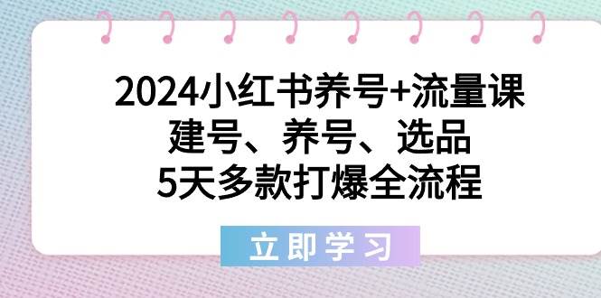2024小红书养号+流量课：建号、养号、选品，5天多款打爆全流程-臻优网