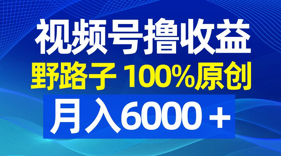视频号野路子撸收益，100%原创，条条爆款，月入6000＋-臻优网