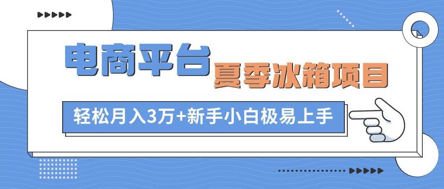 电商平台夏季冰箱项目，轻松月入3万+，新手小白极易上手-臻优网
