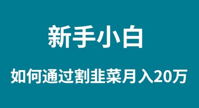 新手小白如何通过割韭菜月入 20W-臻优网