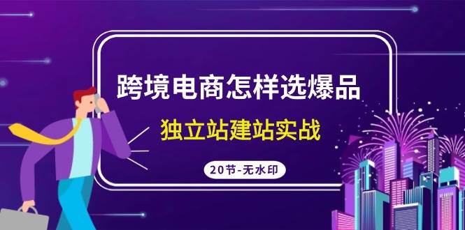跨境电商怎样选爆品，独立站建站实战（20节高清无水印课）-臻优网