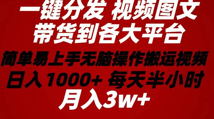 2024年 一键分发带货图文视频  简单易上手 无脑赚收益 每天半小时日入1…-臻优网