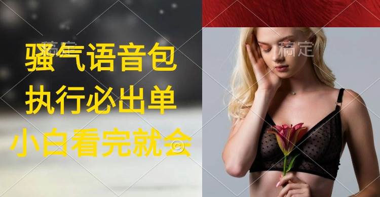 执行就出单，日入2000+，超火骚气语音包，小白看完课程就能马上实操-臻优网