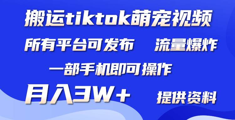 搬运Tiktok萌宠类视频，一部手机即可。所有短视频平台均可操作，月入3W+-臻优网