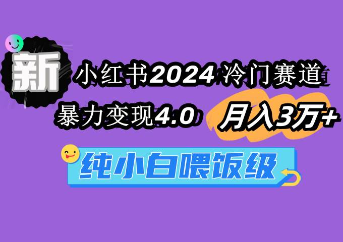 小红书2024冷门赛道 月入3万+ 暴力变现4.0 纯小白喂饭级-臻优网