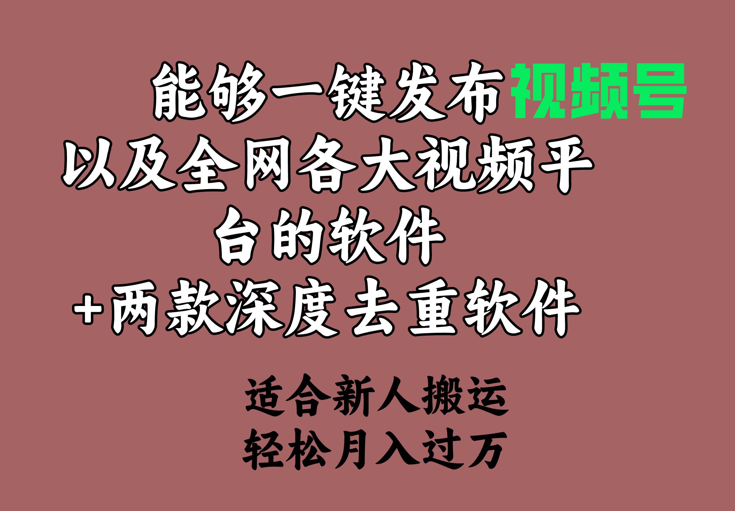 能够一键发布视频号以及全网各大视频平台的软件+两款深度去重软件 适合…-臻优网