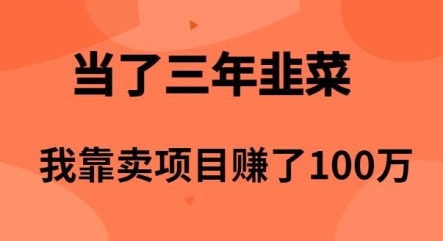 当了3年韭菜，我靠卖项目赚了100万-臻优网