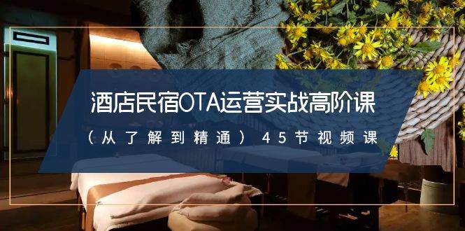 酒店民宿-OTA运营实战高阶课（从了解到精通）45节视频课-臻优网