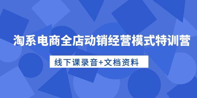 淘系电商全店动销经营模式特训营，线下课录音+文档资料-臻优网