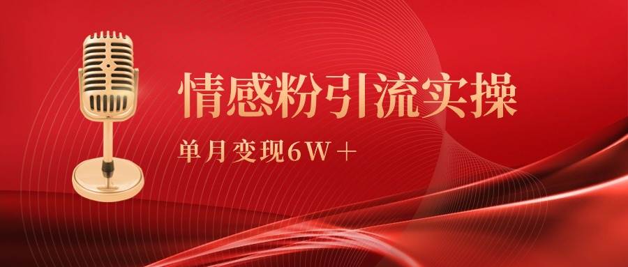 单月变现6w+，情感粉引流变现实操课-臻优网