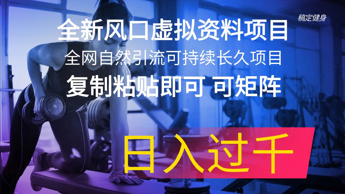 全新风口虚拟资料项目 全网自然引流可持续长久项目 复制粘贴即可可矩阵…-臻优网