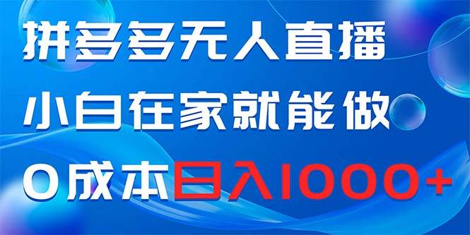 拼多多无人直播，小白在家就能做，0成本日入1000+-臻优网