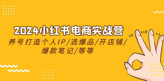 2024小红书电商实战营，养号打造IP/选爆品/开店铺/爆款笔记/等等（24节）-臻优网